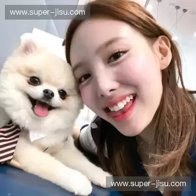 秦霞品